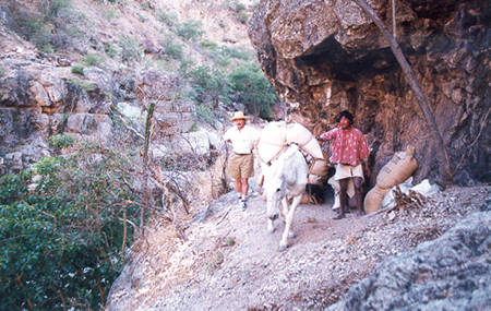 Food relief transport